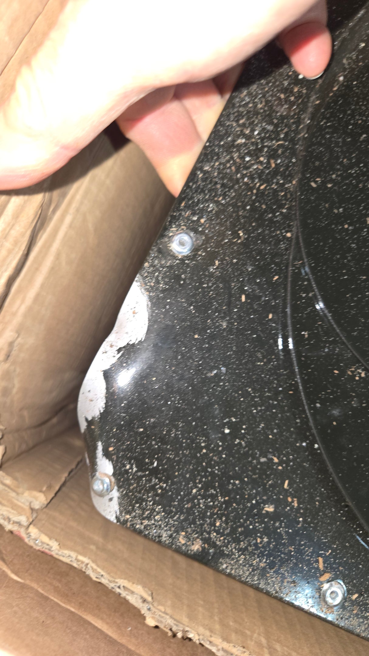 Trailblazer Scratch n Dent